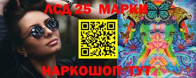 гашик Донской