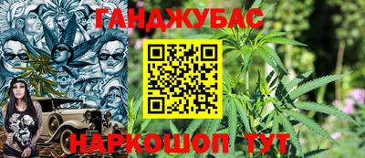 гашик Донской
